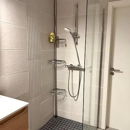 New 2 With Garden & Garage, Close To Parliament * Schiltigheim